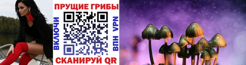 Купить  Калининец  Псилоцибиновые грибы Magic Shrooms 