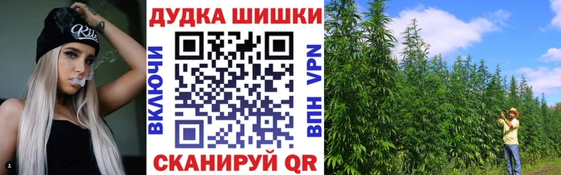 Купить где  Калининец  Марихуана семена 